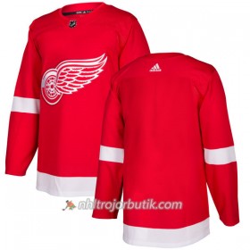 Män Ishockey Detroit Red Wings Tröja Blank Adidas 2017-2018 Röd Authentic